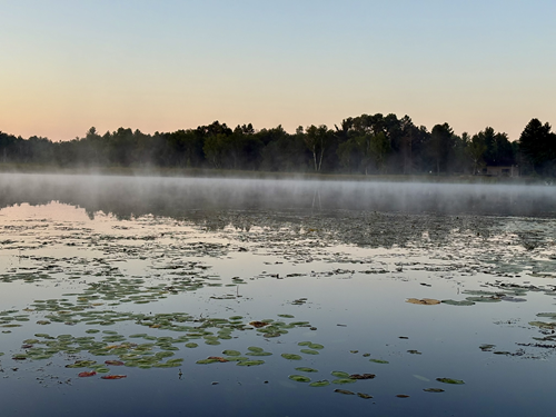 Litha midsummer women&rsquo;s retreat at Sunny Shores